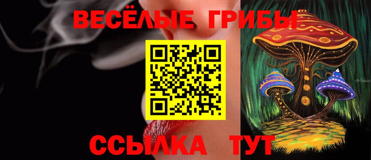 Псилоцибиновые грибы Psilocybe  Вход с VPN  Псилоцибиновые грибы Psilocybine cubensis  Черняховск 